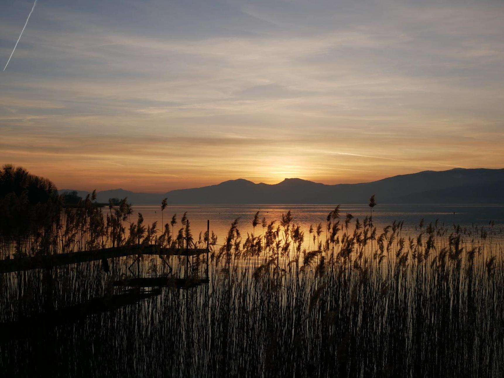 Kusmi Love Piscine Proche Du Lac Άννεσι Εξωτερικό φωτογραφία